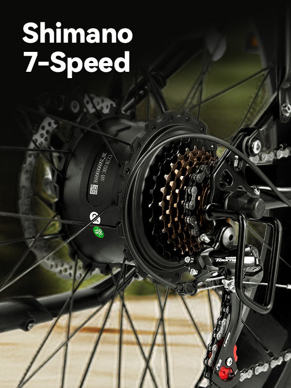 Qlife Bike
