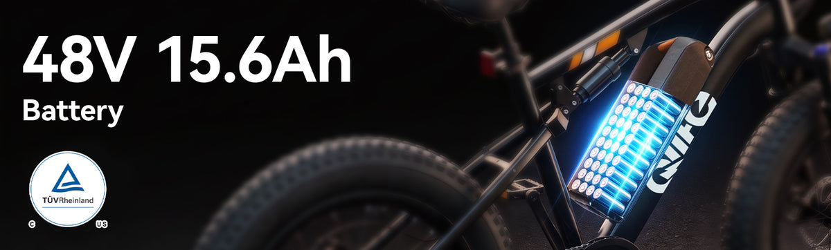 Qlife Bike