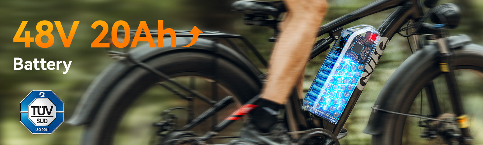 Qlife Bike