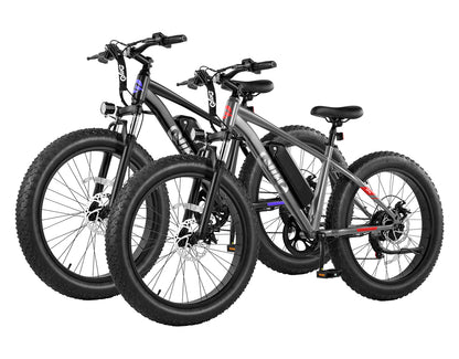 Qlife® Ebike Combo Sale Racer Plus 26x4.0'' Fat Tire *2