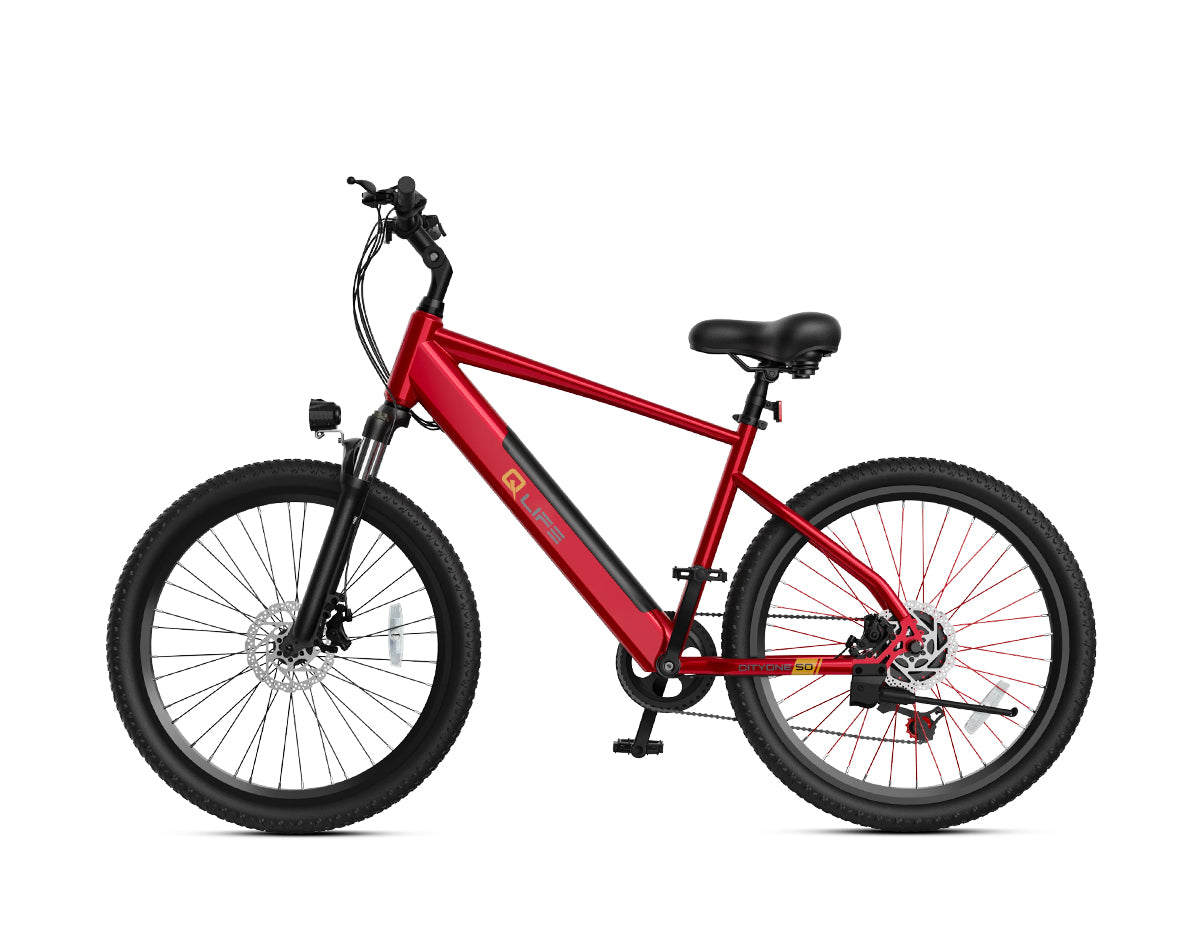 Cityone Step Over 2.0 Electric Mountain Bike – Qlife Bike