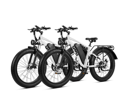 Qlife® Ebike Combo Sale Racer Plus 26x4.0'' Fat Tire 2.0 *2
