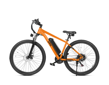 Racer Step Over Electric Bike for Adults
