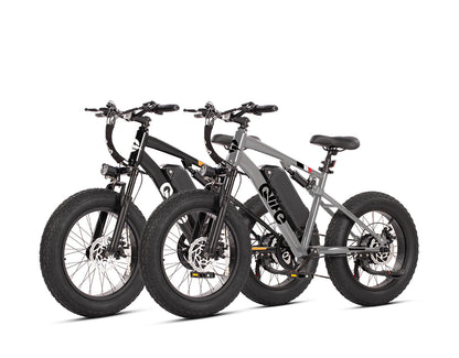 Qlife® Ebike Combo Sale Racer 20x4.0 Fat Tire 2.0*2