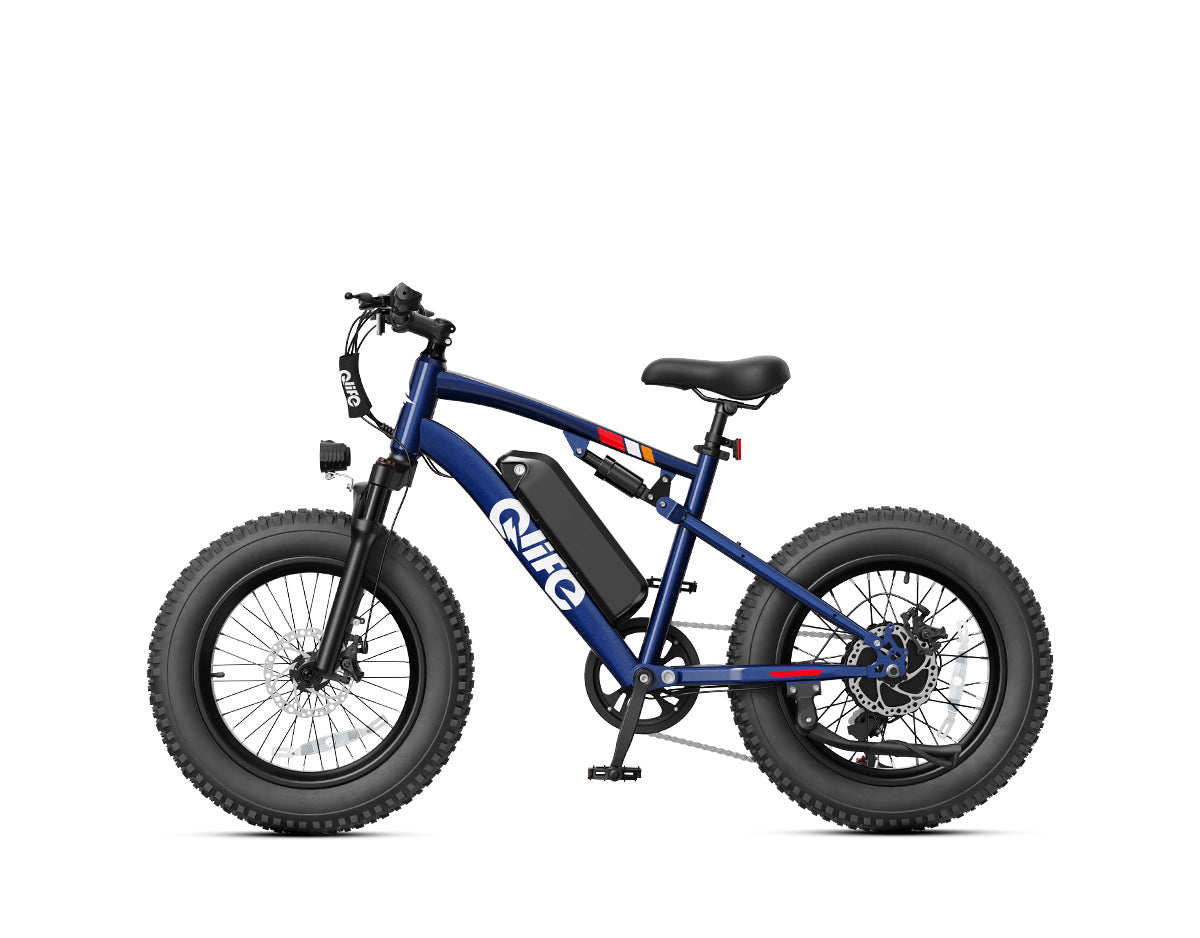 Racer 20x4.0'' Fat Tire 2.0 Electric Bike – Qlife Bike