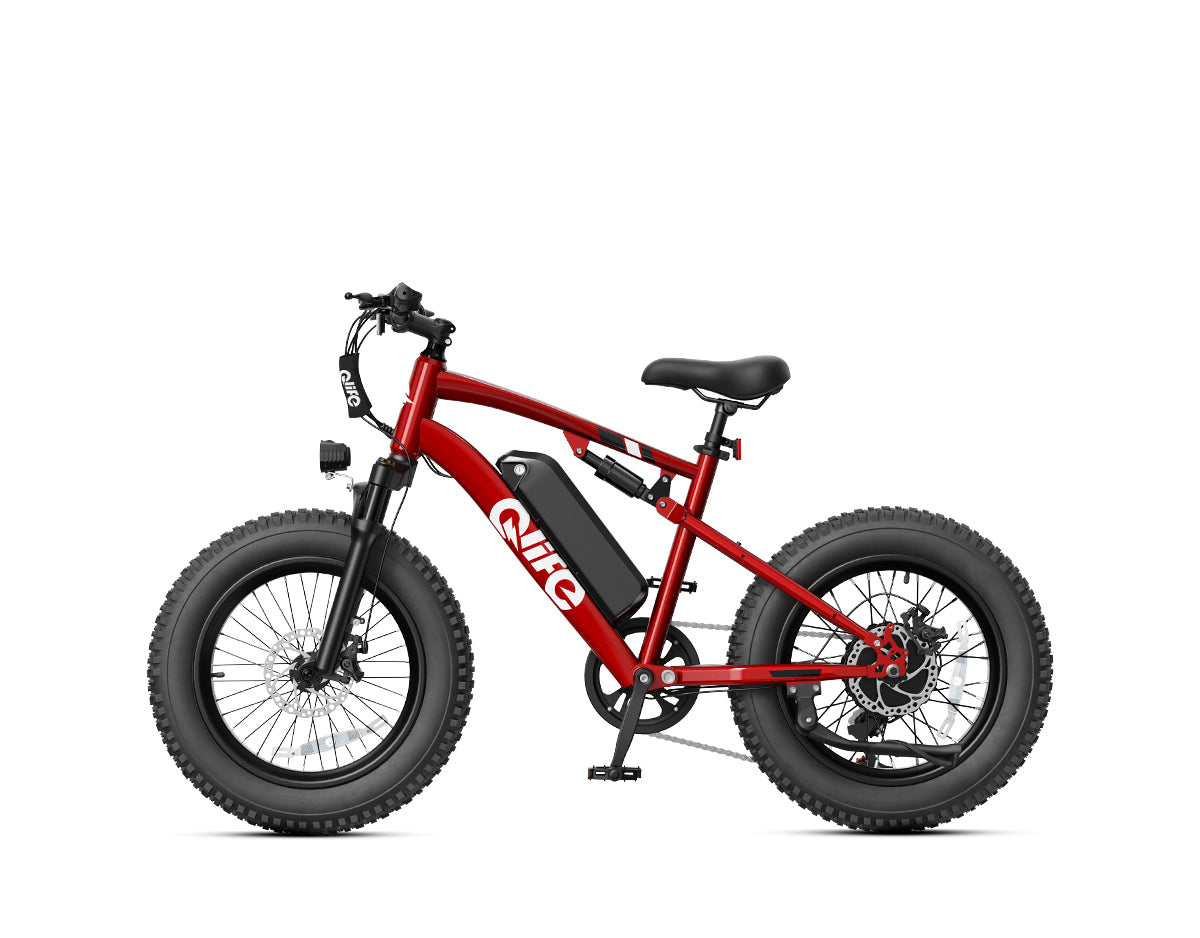 Flow Electric E-BIKE 20×4.0 極太タイヤ Racer 20x4.0'' Fat Tire 2.0 Electric Bike – Qlife Bike