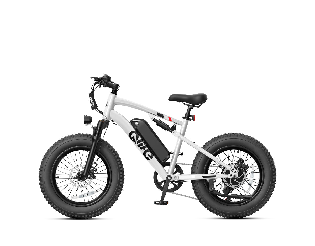 Racer 20x4.0'' Fat Tire 2.0 Electric Bike – Qlife Bike