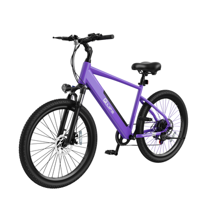 Cityone Step Over 2.0 Mountain Electric Bike