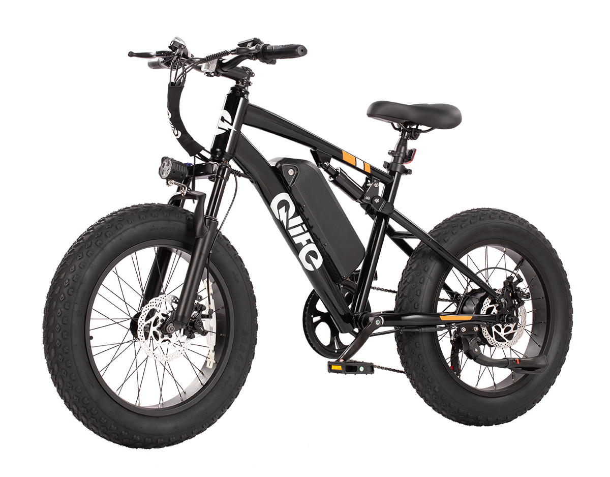 Racer 20x4.0'' Fat Tire 2.0 Electric Bike, Standard, Black 2