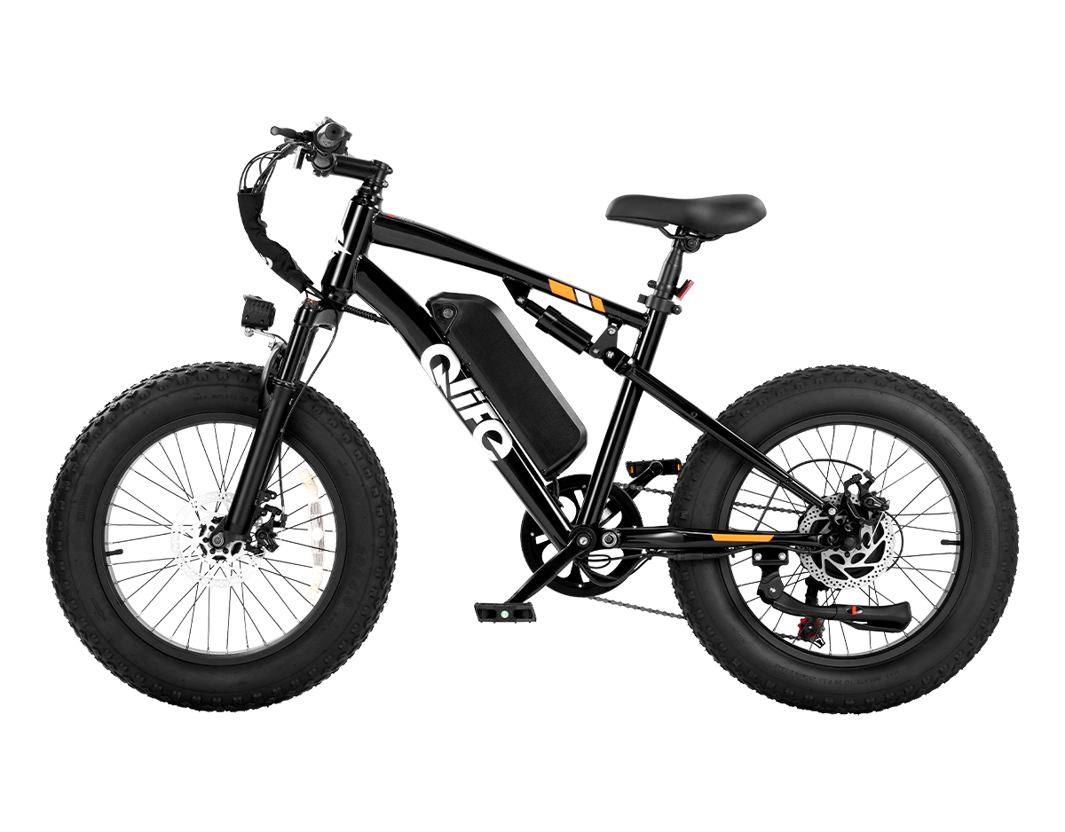 Racer 20x4.0'' Fat Tire 2.0 Electric Bike, Standard, Black 3