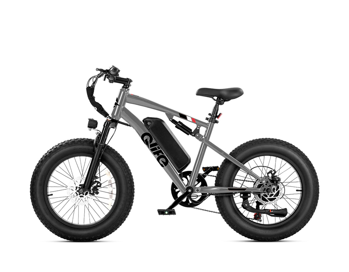 Racer 20x4.0'' Fat Tire 2.0 Electric Bike, Standard, Gray 3