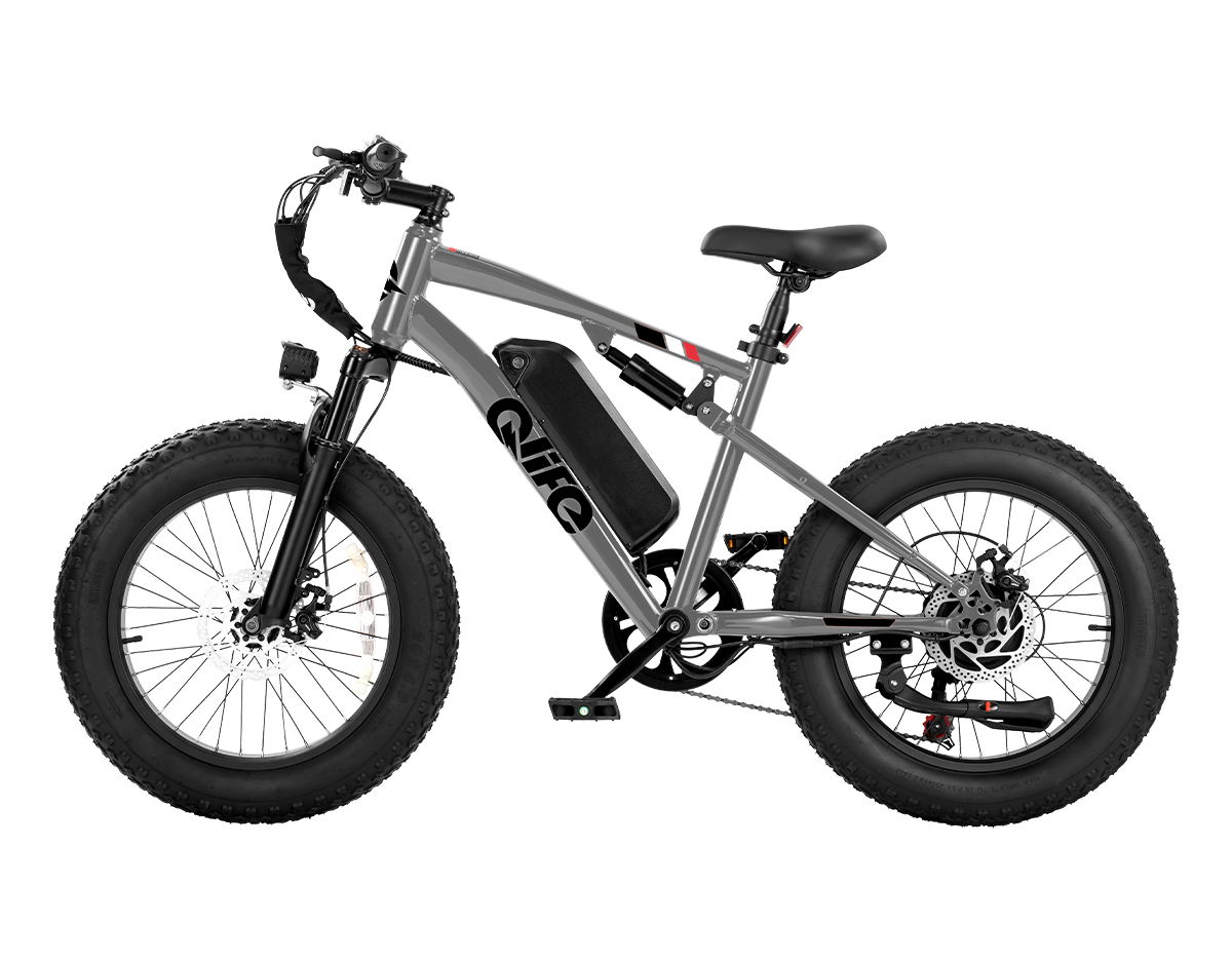 Racer 20x4.0'' Fat Tire 2.0 Electric Bike, Standard, Gray 4