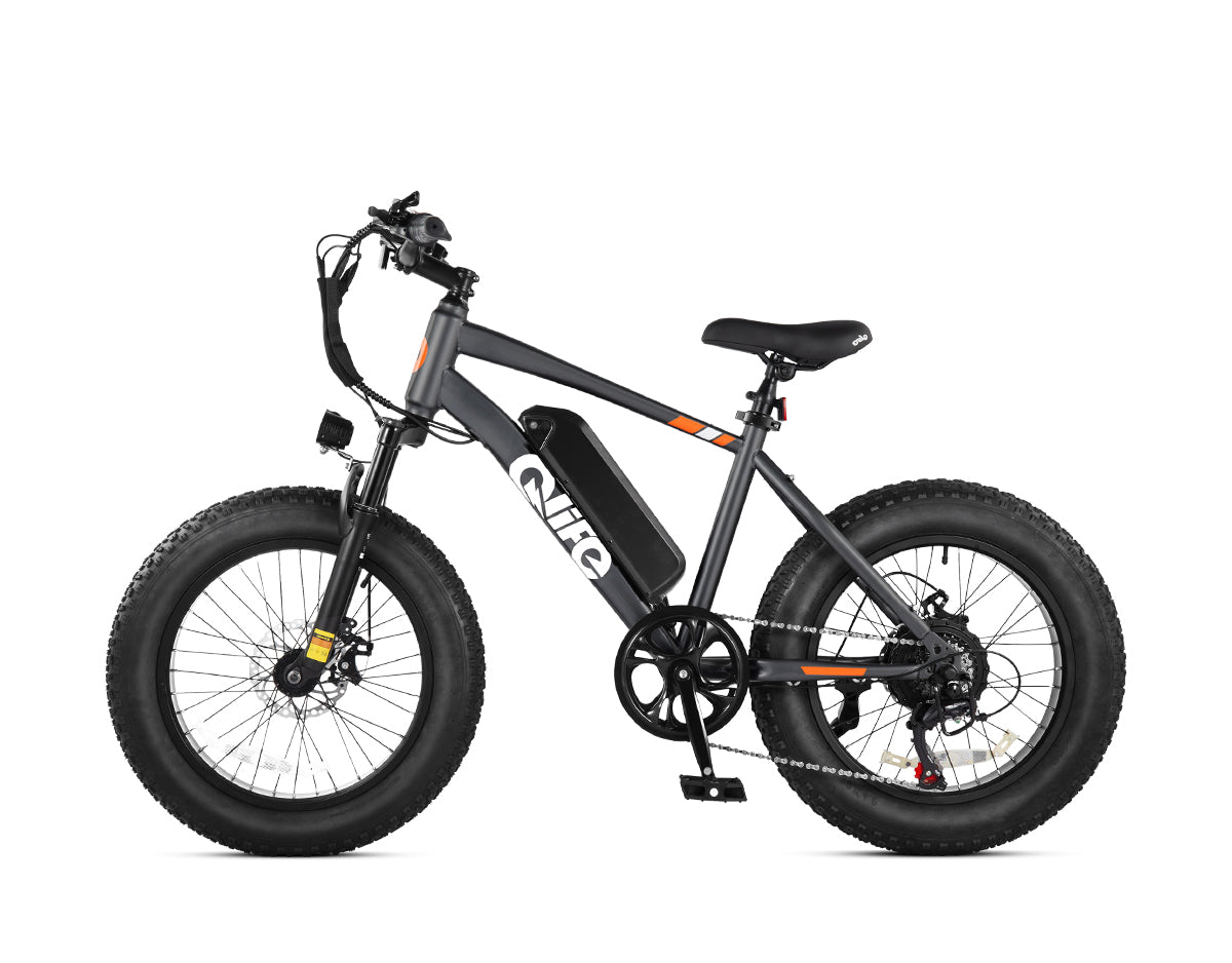 Qlife Racer Fat Tire Electric Mountain Bike