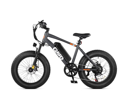 Racer 20x4.0'' Fat Tire Electric Bike For Adults, Standard, Black