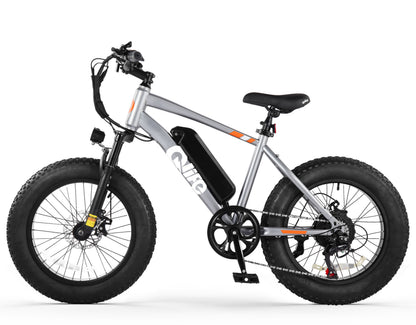 Racer 20x4.0'' Fat Tire Electric Bike For Adults, Standard, Gray