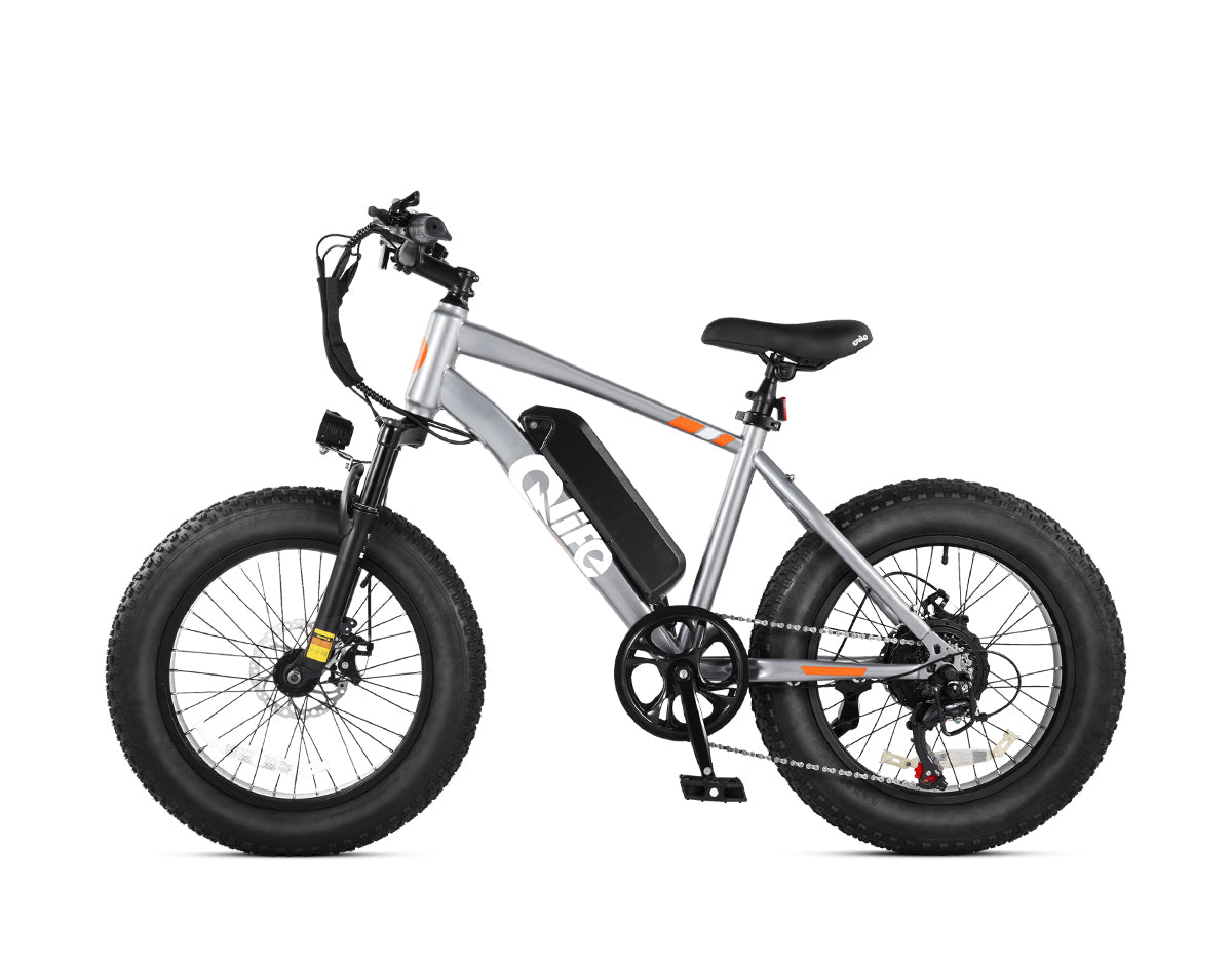 Racer 20x4.0'' Fat Tire Electric Bike For Adults, Standard, Gray 3