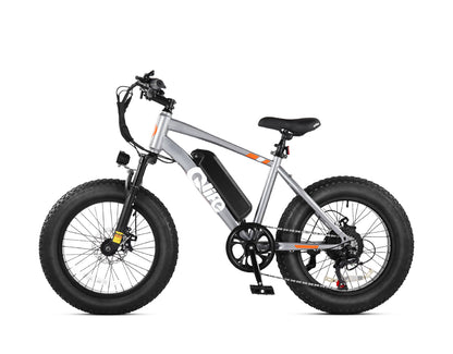Racer 20x4.0'' Fat Tire Electric Bike For Adults, Standard, Gray 3