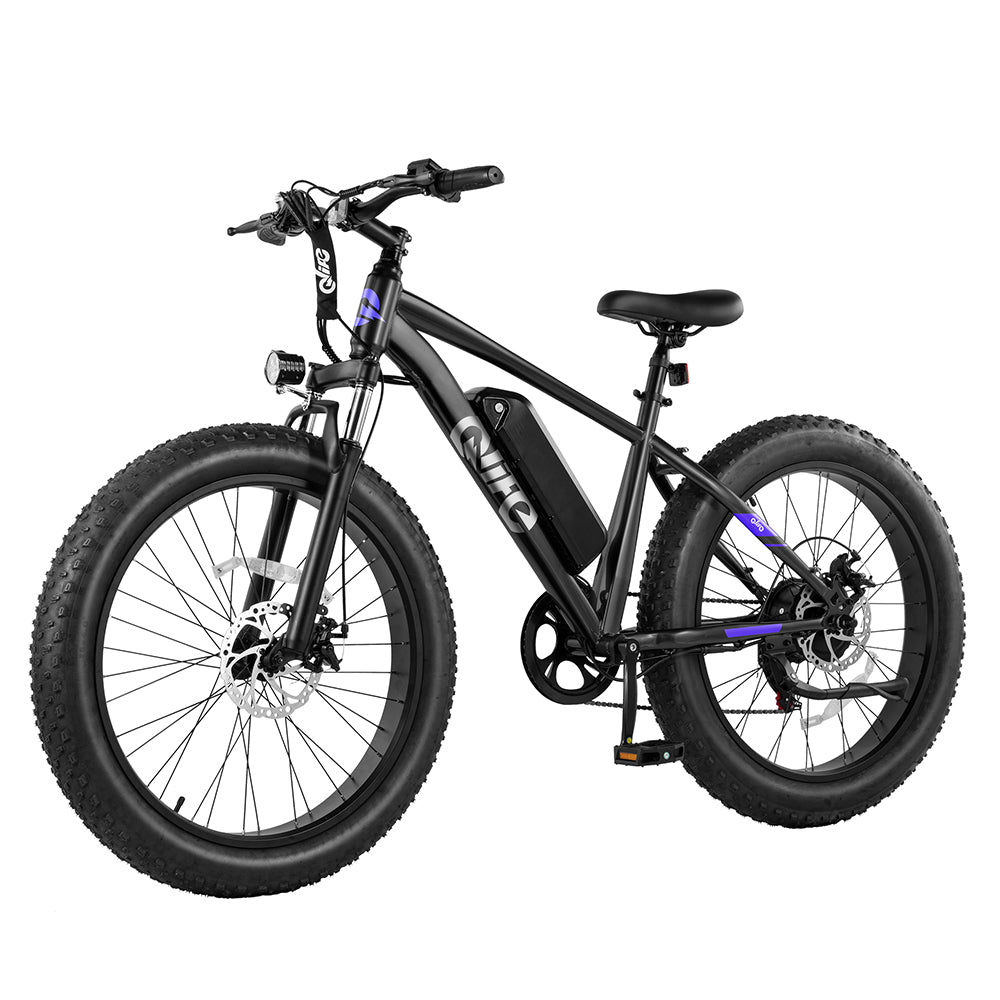 Racer Plus 26x4.0'' Fat Tire Electric Bike For Adults, Standard, Black 4