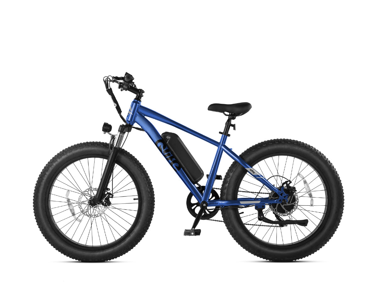 Racer Plus 26x4.0'' Fat Tire Electric Bike For Adults, Standard, Blue 6