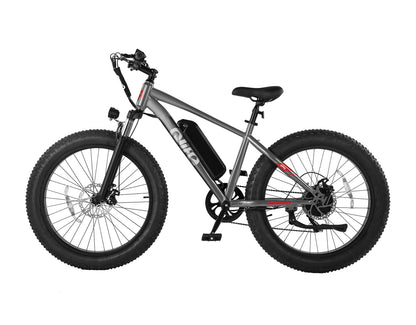 Racer Plus 26x4.0'' Fat Tire Electric Bike For Adults, Standard, Grey 3