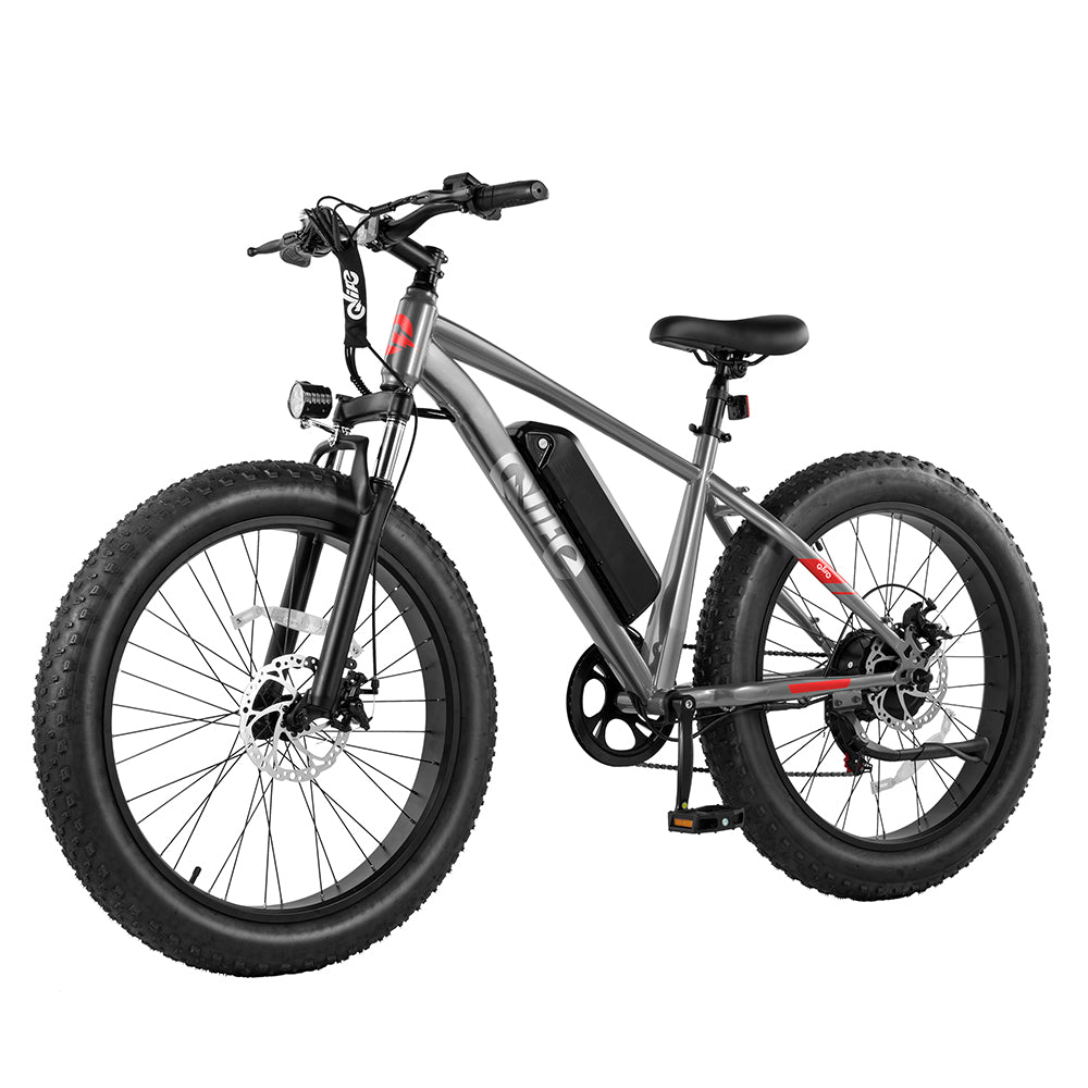 Racer Plus 26x4.0'' Fat Tire Electric Bike For Adults, Standard, Grey 4