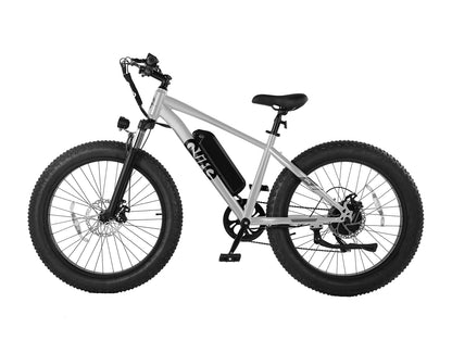 Racer Plus 26x4.0'' Fat Tire Electric Bike For Adults, Standard, Silver 3