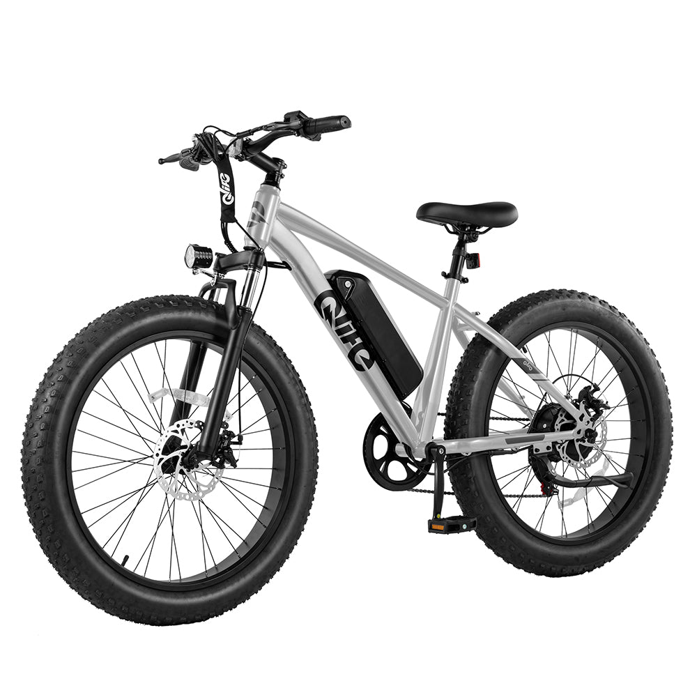 Racer Plus 26x4.0'' Fat Tire Electric Bike For Adults, Standard, Silver 4