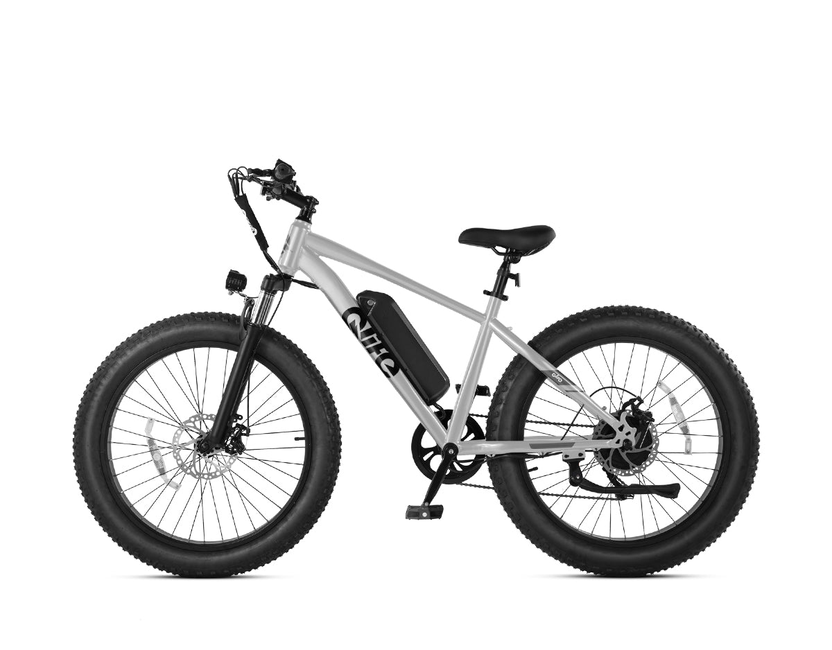 Racer Plus 26x4.0'' Fat Tire Electric Bike For Adults, Standard, Silver 6