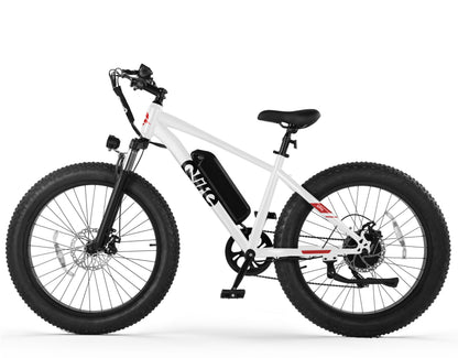 Racer Plus 26x4.0'' Fat Tire Electric Bike For Adults, Standard, White