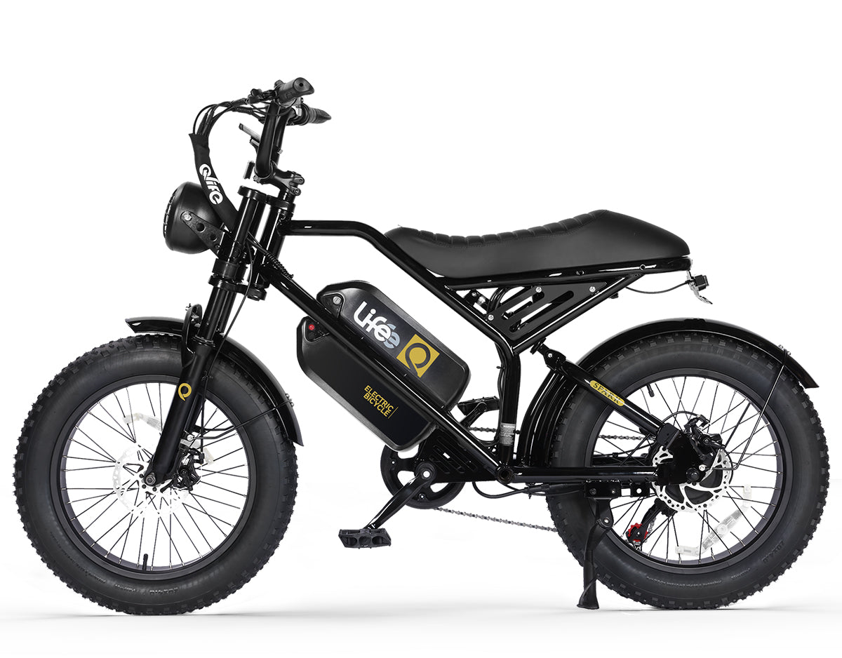 Spark 20x4.0"  Moped-Style  E-Bike, Dual Battery, Black