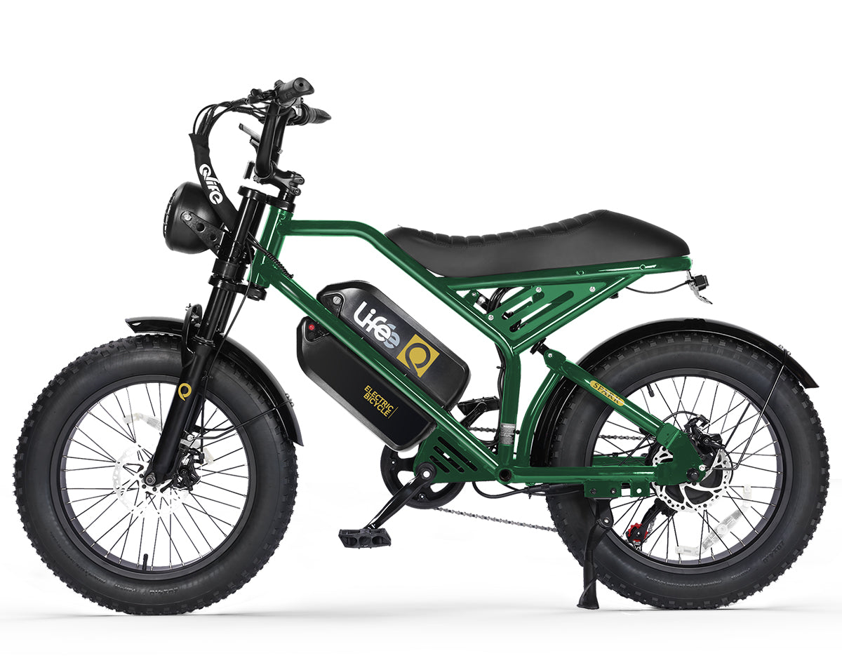 Spark 20x4.0"  Moped-Style  E-Bike, Dual Battery, Green