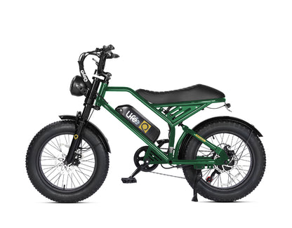 Spark 20x4.0"  Moped-Style  E-Bike, Standard, Green 2