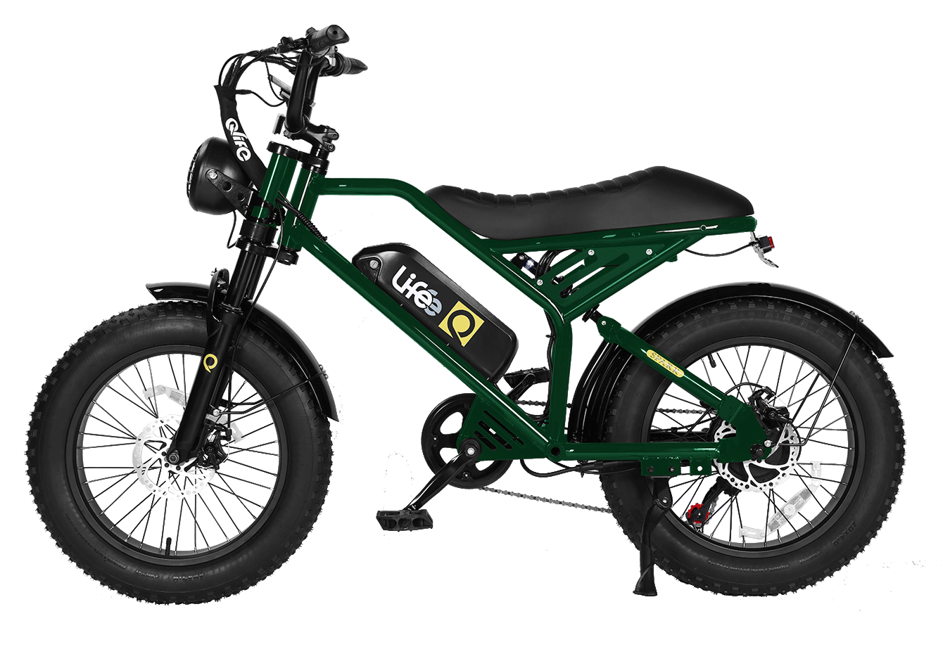 Spark 20x4.0"  Moped-Style  E-Bike, Standard, Green 6