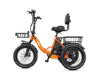 Triker 2.0 Folding 3 Wheels Electric Bike