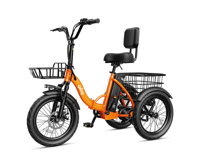 Triker 2.0 Folding 3 Wheels Electric Bike