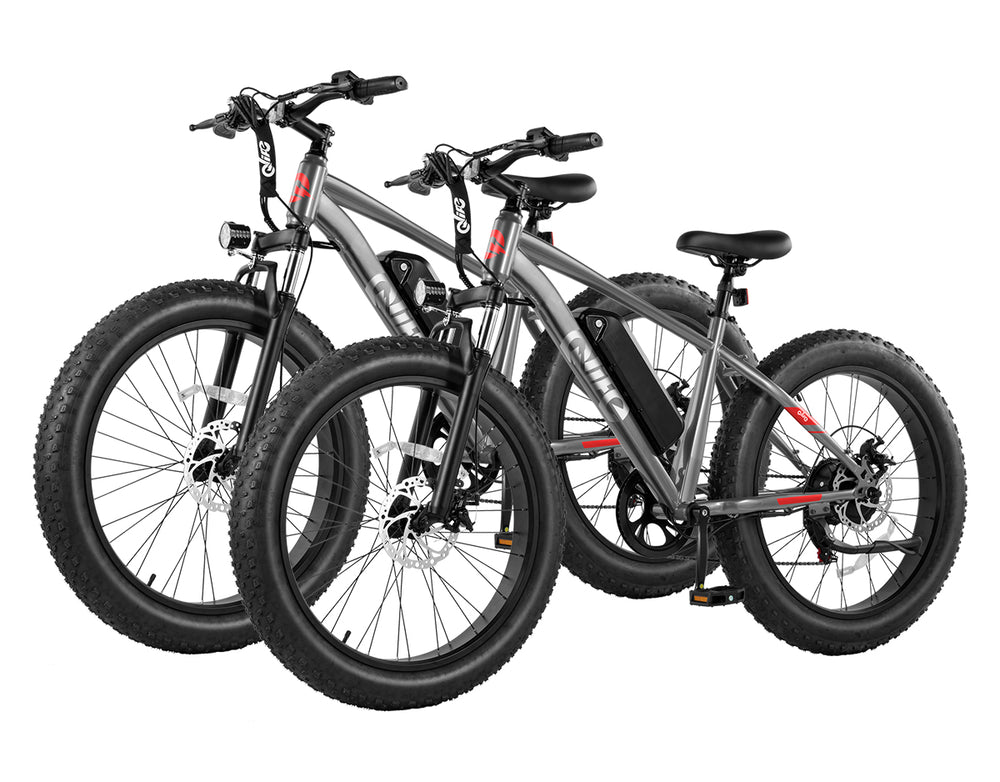Qlife® Ebike Combo Sale Racer Plus 26x4.0'' Fat Tire *2