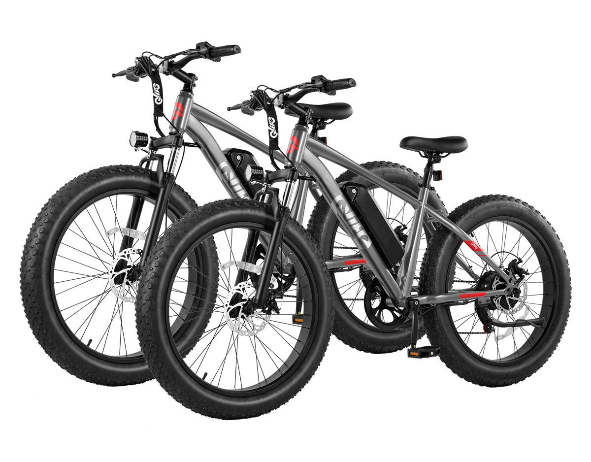 Qlife® Ebike Combo Sale Racer Plus 26x4.0'' Fat Tire *2