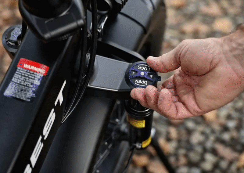Built to Absorb Bumps, Ready for More Roads