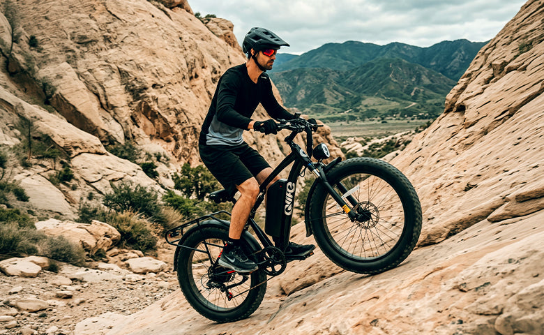 Qlife Bike