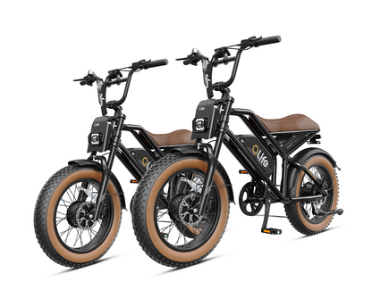 Qlife® Ebike Combo Sale Spark Max *2