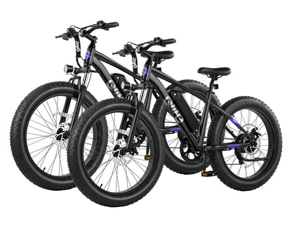 Qlife® Ebike Combo Sale Racer Plus 26x4.0'' Fat Tire *2