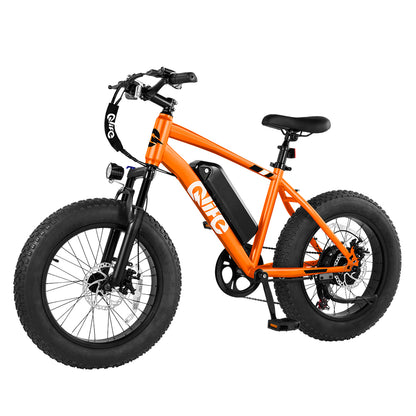 Racer 20x4.0 Fat Tire Electric Bike