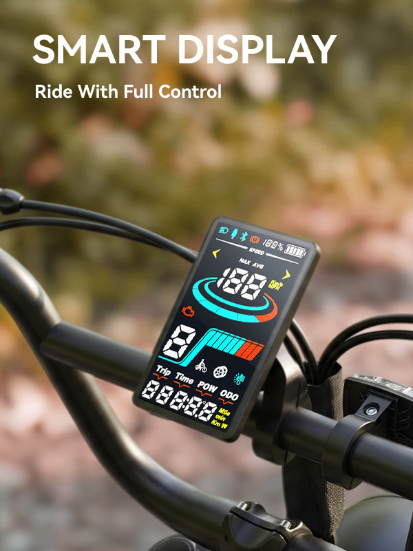 Qlife Bike