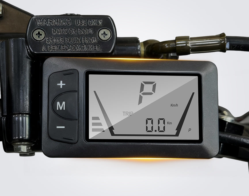 Left-Side Monochrome Display - FocusRide Essentials