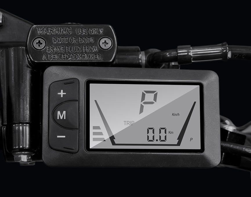 Left-Side Monochrome Display - FocusRide Essentials