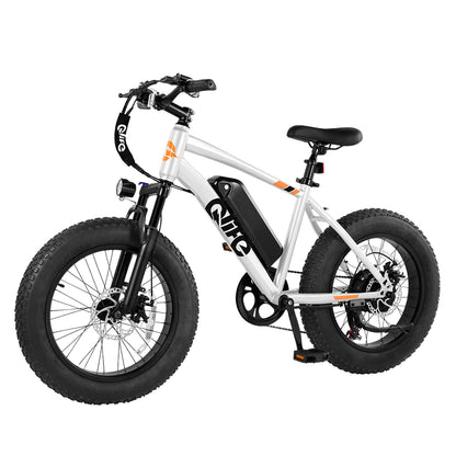 Racer 20x4.0 Fat Tire Electric Bike