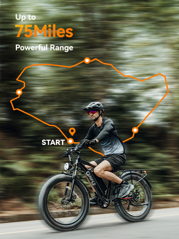 Qlife Bike