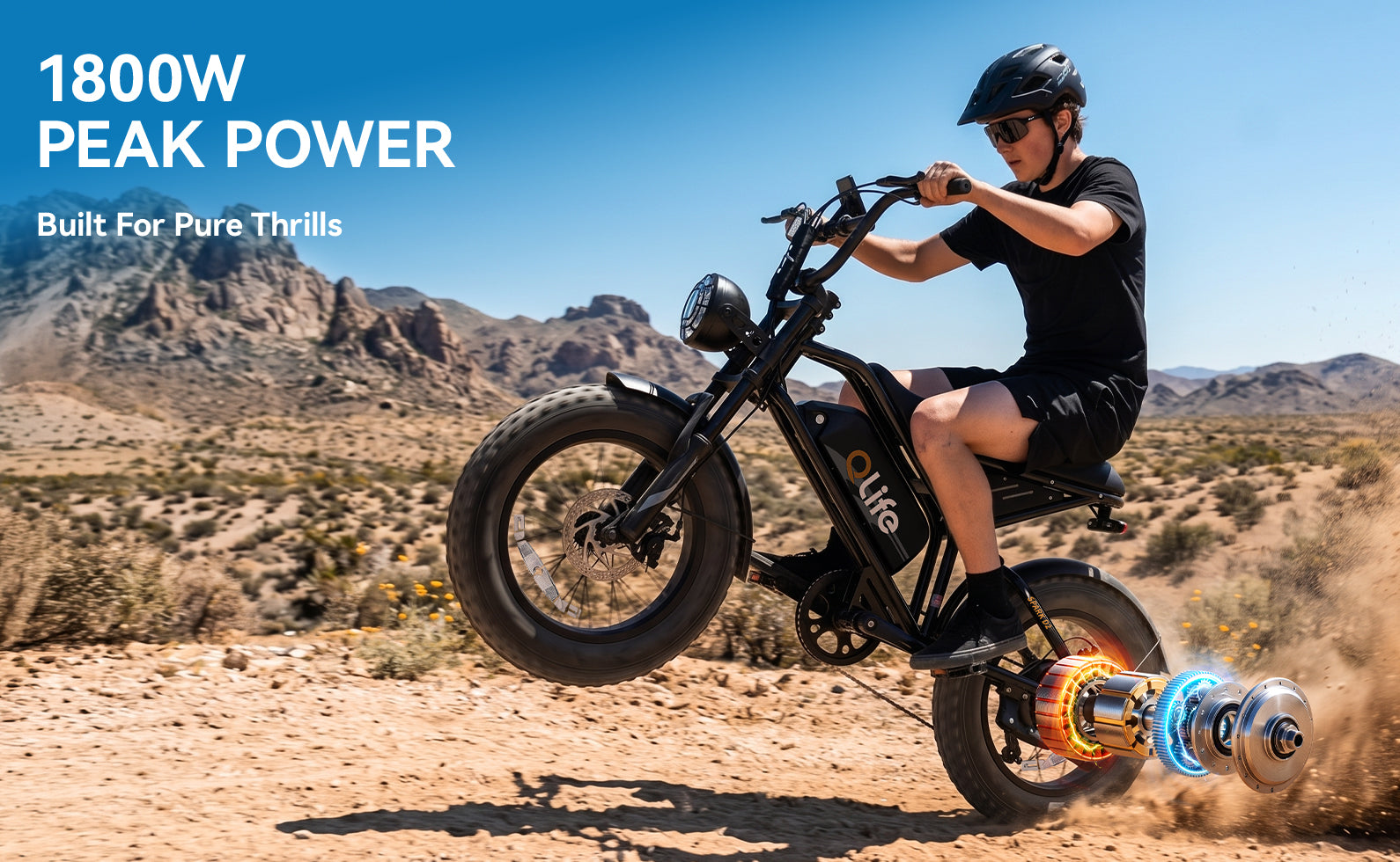 Qlife Bike