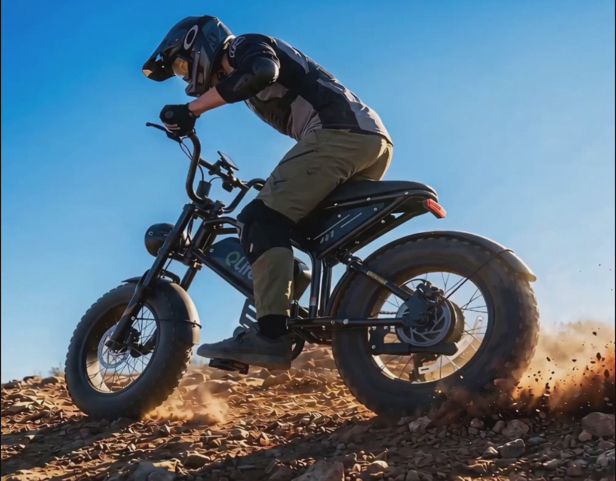 Qlife Bike