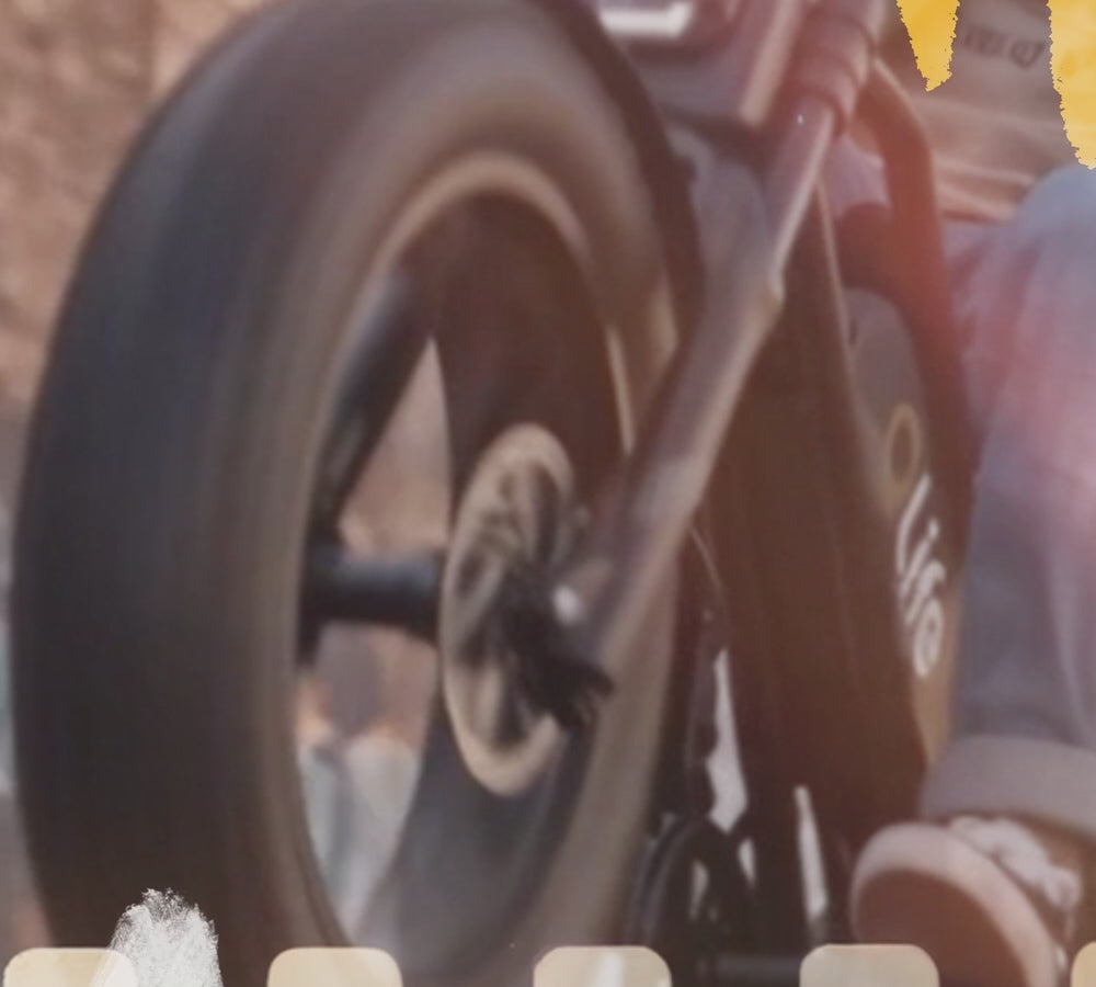 Qlife Bike